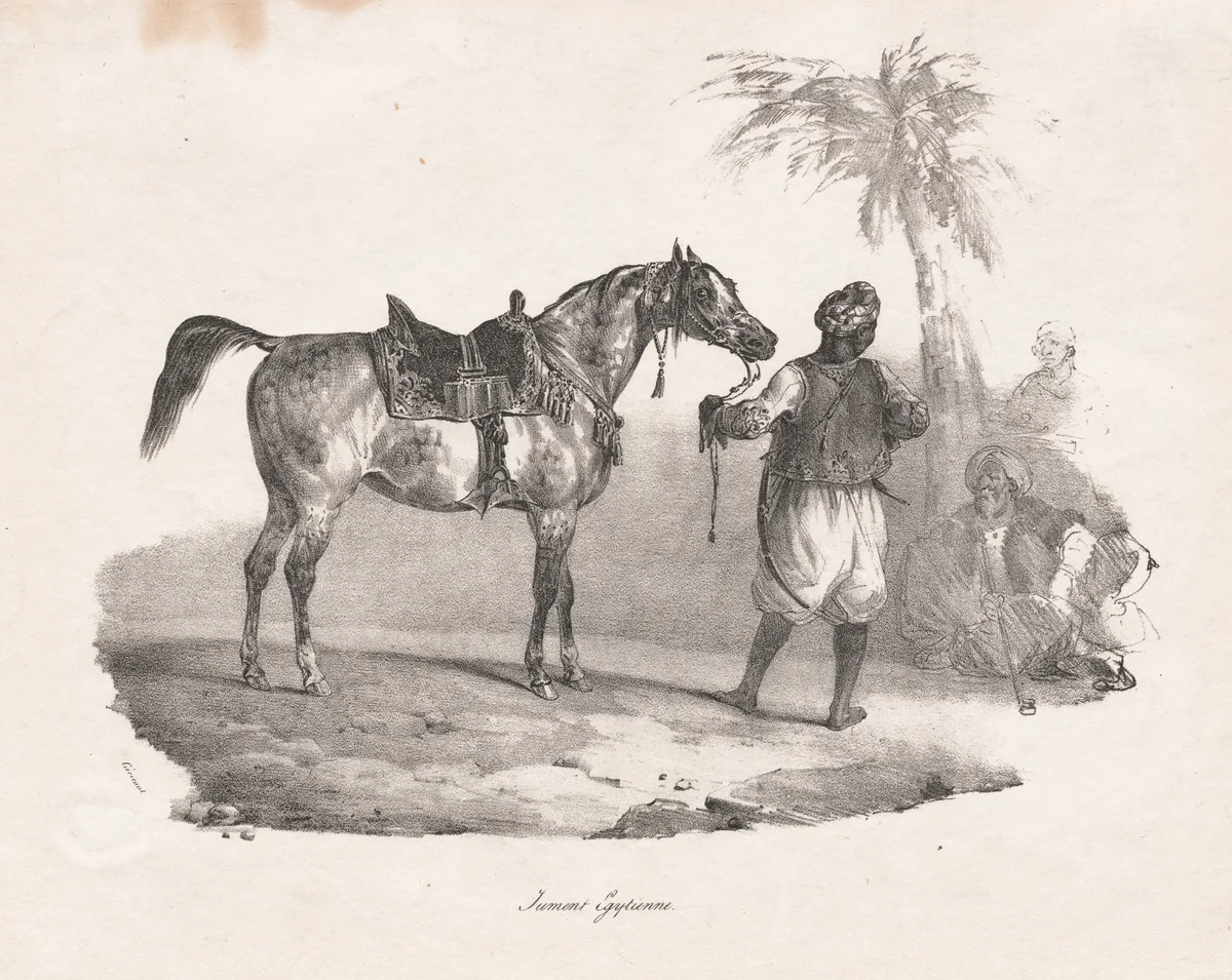 Egyptian Mare by Théodore Géricault, print, 1822