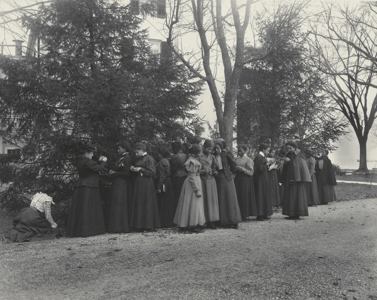 English. Studying the cone-bearing trees by Frances Benjamin Johnston, photograph, 1899