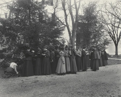 English. Studying the cone-bearing trees by Frances Benjamin Johnston, photograph, 1899