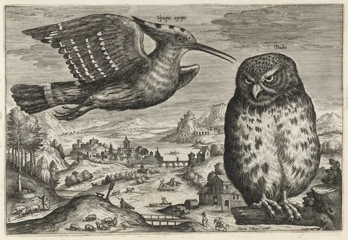Hoopoe and Owl by Adriaen Collaert, print, 1595-1605
