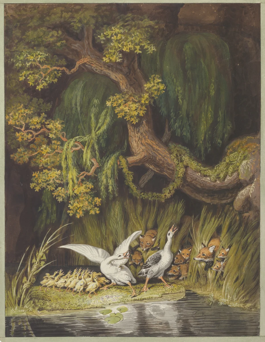 A Goose and a Gander with their Goslings Honking in Alarm as Two Foxes with their Cubs Emerge from the Rushes by Johann Heinrich Wilhelm Tischbein, drawing, 1765-1829