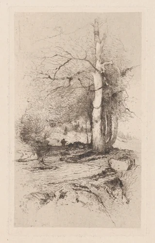 Landscape by Frank Anderson, print, 1890
