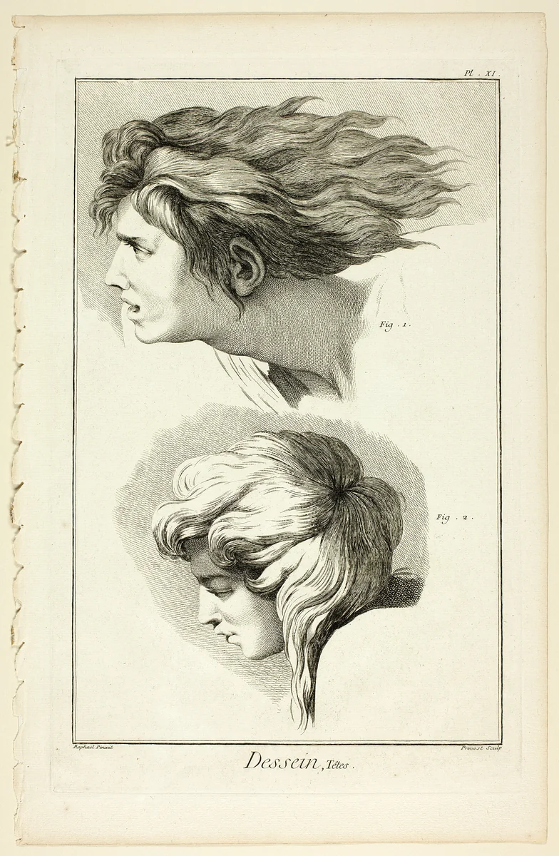 Design: Heads, from Encyclopédie by Benoît-Louis Prévost, print, 1762-1777