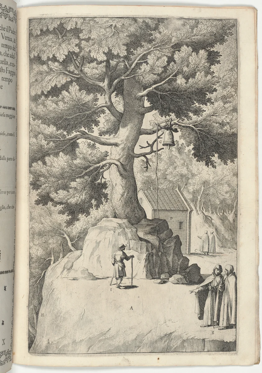Beech Tree with the Bell (Faggio della campana) [plate X] by Jacopo Ligozzi, print, 1612