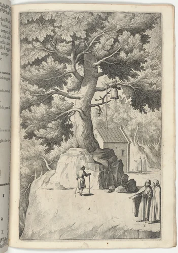 Beech Tree with the Bell (Faggio della campana) [plate X] by Jacopo Ligozzi, print, 1612