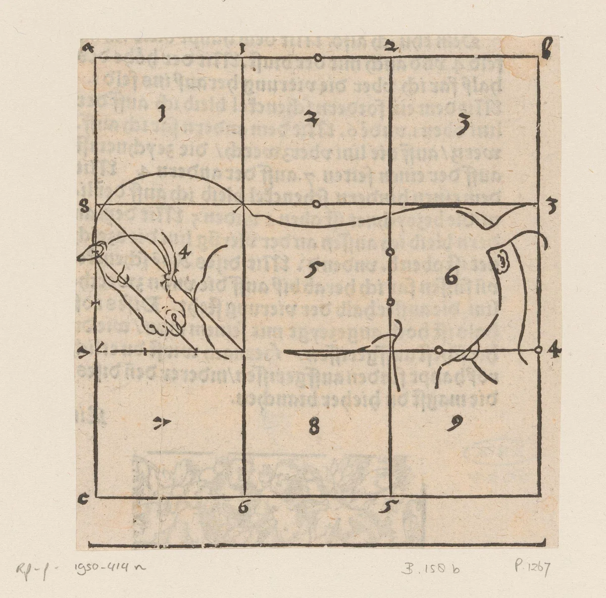 Model voor een paard met raster by anonymous, print, 1565