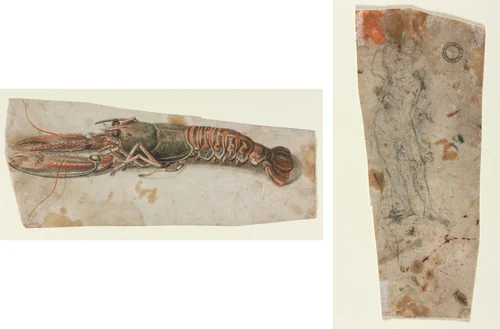 Lobster (recto) Sketch of an Armoured Male Figure (verso) by anonymous, drawing, 1600-1699