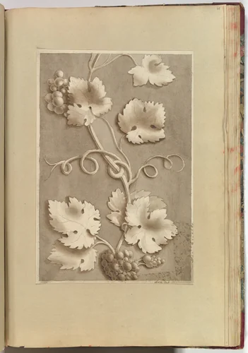 Grapes and Vine-leaves by Alfred Forrester, drawing, 1845-1870