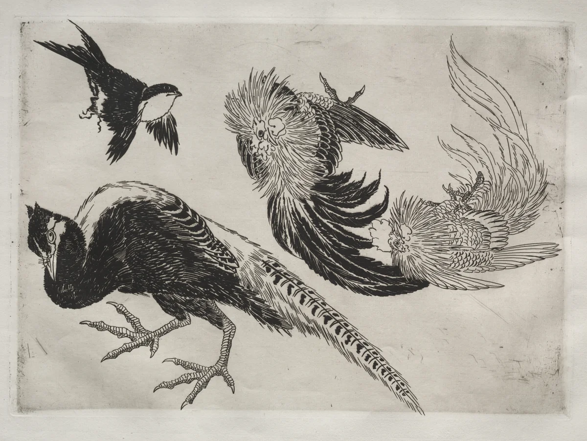 Dinner Service (Rousseau service): Pheasants and bird (no. 18) by Félix Bracquemond, print, 1866