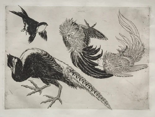 Dinner Service (Rousseau service): Pheasants and bird (no. 18) by Félix Bracquemond, print, 1866