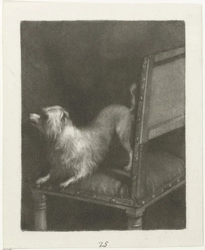 Hondje op een stoel by Nicolaas Verkolje, print, 1683-1746