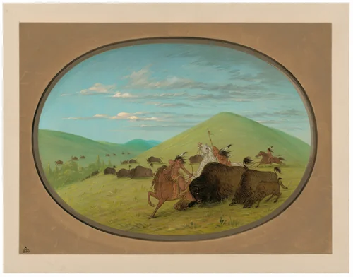 Buffalo Chase - Bulls Protecting the Calves by George Catlin, painting, 1861-1869