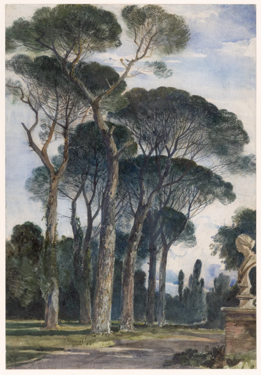 Umbrella pines in the Villa Borghese, Rome by William James Müller, drawing, 1839