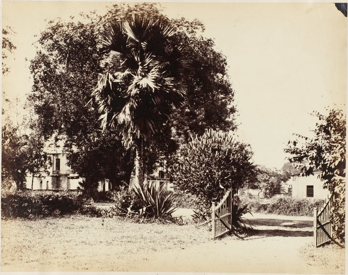 Gate Leading into Our House by R. B. Hill, photograph, 1850-1859
