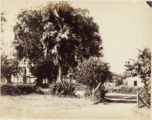 Gate Leading into Our House by R. B. Hill, photograph, 1850-1859