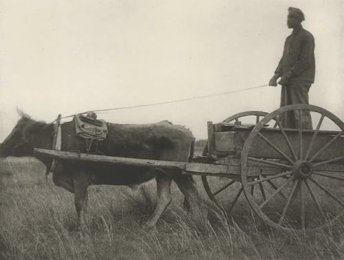 Untitled by Doris Ulmann, photograph, 1929