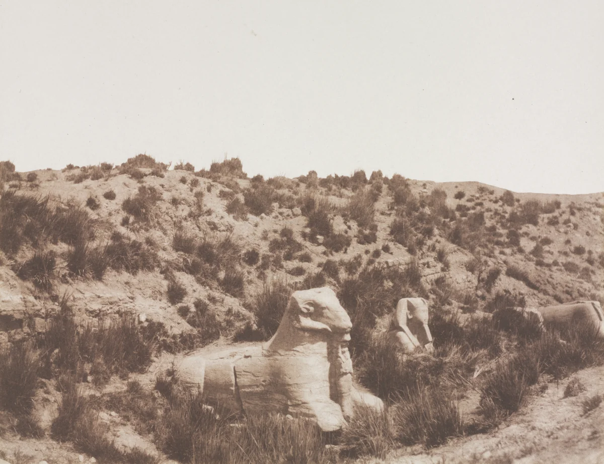 Sphinxes with a Human Head and with a Ram Head at Point Y. Karnak (Thebes) by Félix Teynard, photograph, 1851-1852