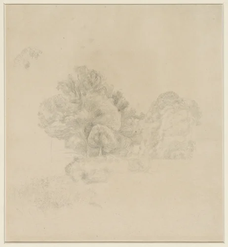 Boomgroep in een park by Pierre-Auguste Renoir, drawing, 1851-1919