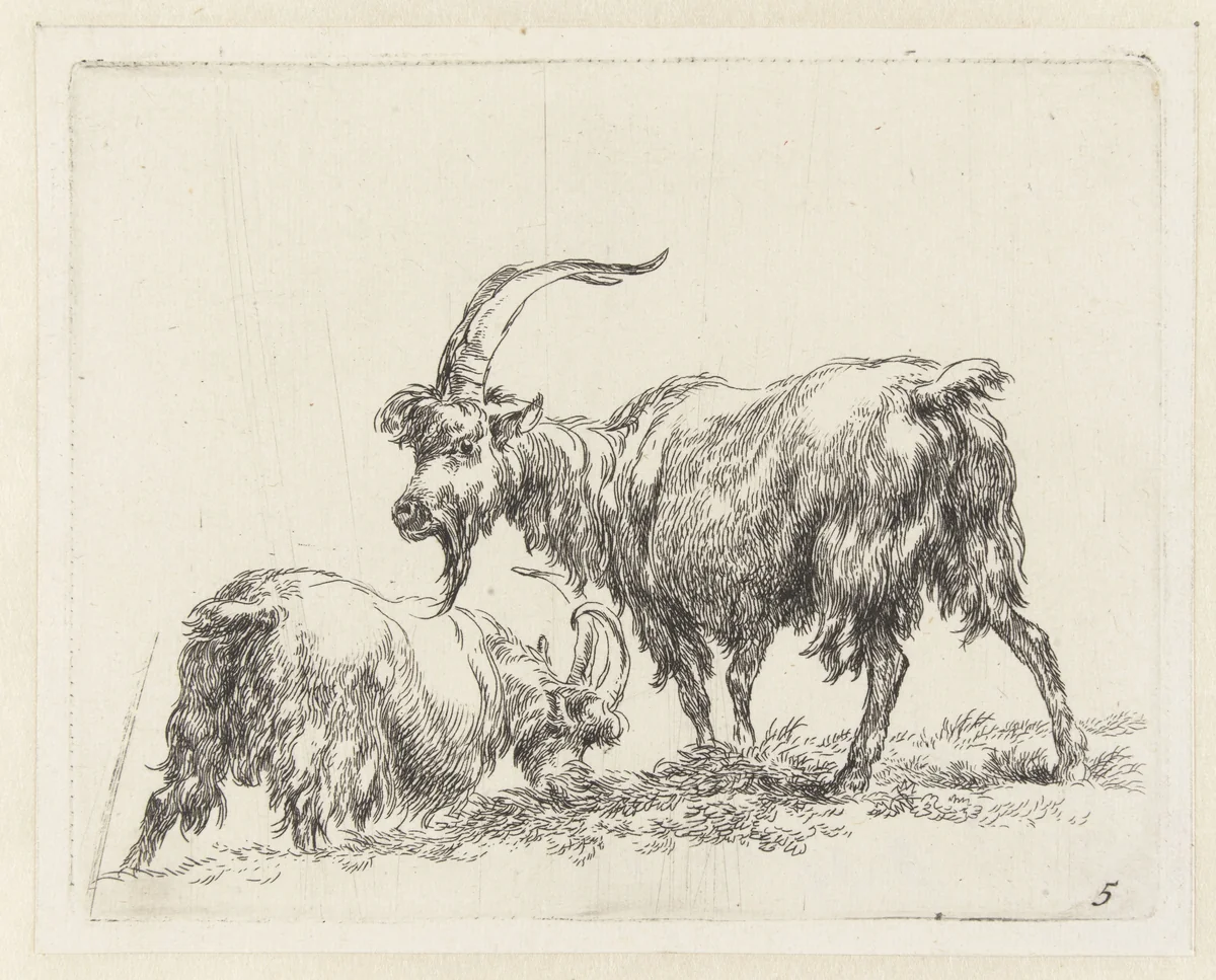 Twee geiten of bokken by Nicolaes Pietersz Berchem, print, 1648-1652