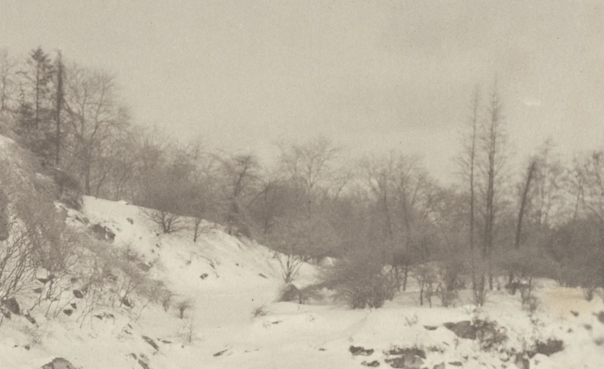 An Impression, Winter by Alfred Stieglitz, photograph, 1894