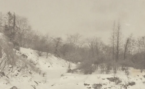An Impression, Winter by Alfred Stieglitz, photograph, 1894