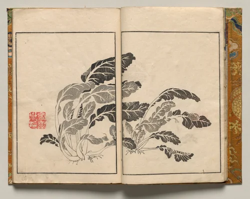 Bok Choy, Design Four from Shazanrō Picture Book by Tani Bunchō (谷文晁), book, 1816