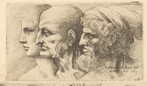 Row of three heads in profile to left by Wenceslaus Hollar, print, 1645