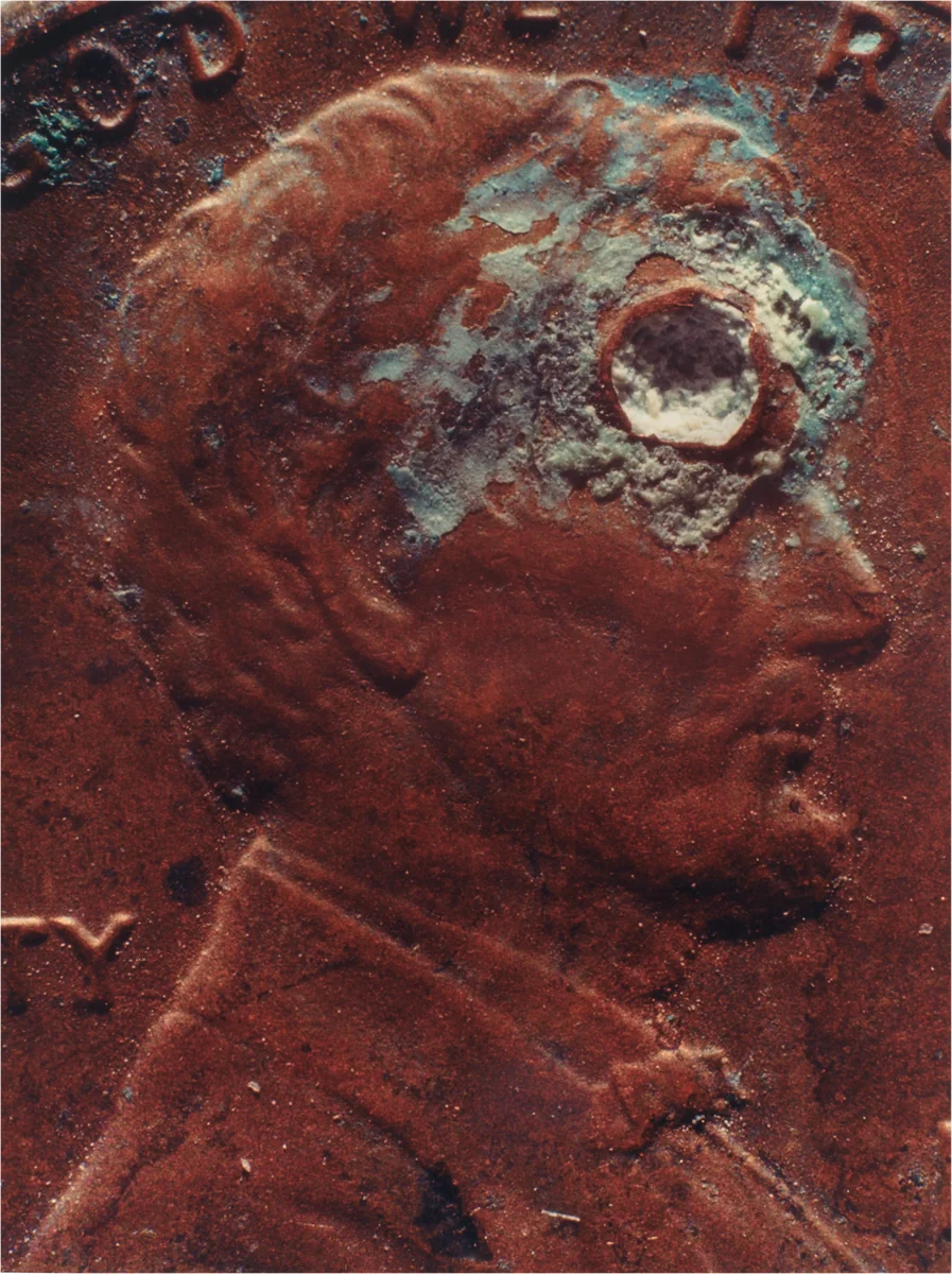 Copperhead #36 by Moyra Davey, photograph, 1990