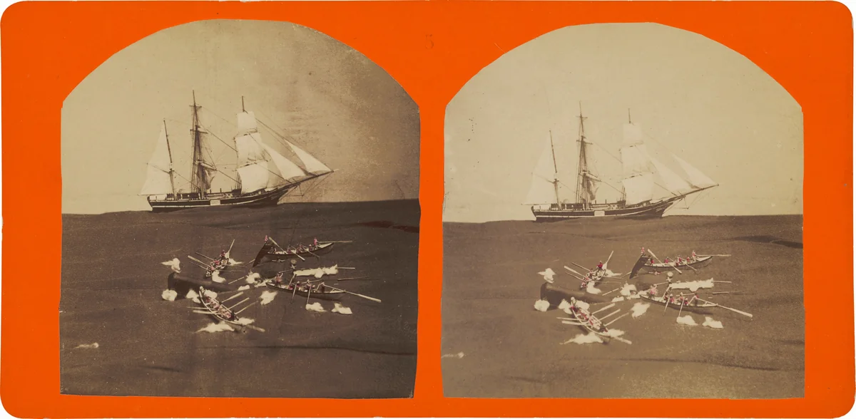 Untitled by C.H. Shute & Son, photograph, 1863-1873