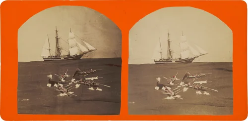 Untitled by C.H. Shute & Son, photograph, 1863-1873