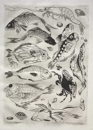 Dinner Service (Rousseau service): Fish (no. 24) by Félix Bracquemond, print, 1866