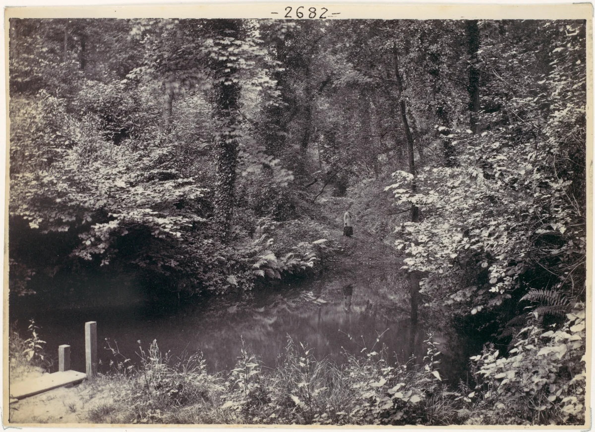 Colwyn Bay. The Pool in the Wood by Francis Bedford, photograph, 1870-1879