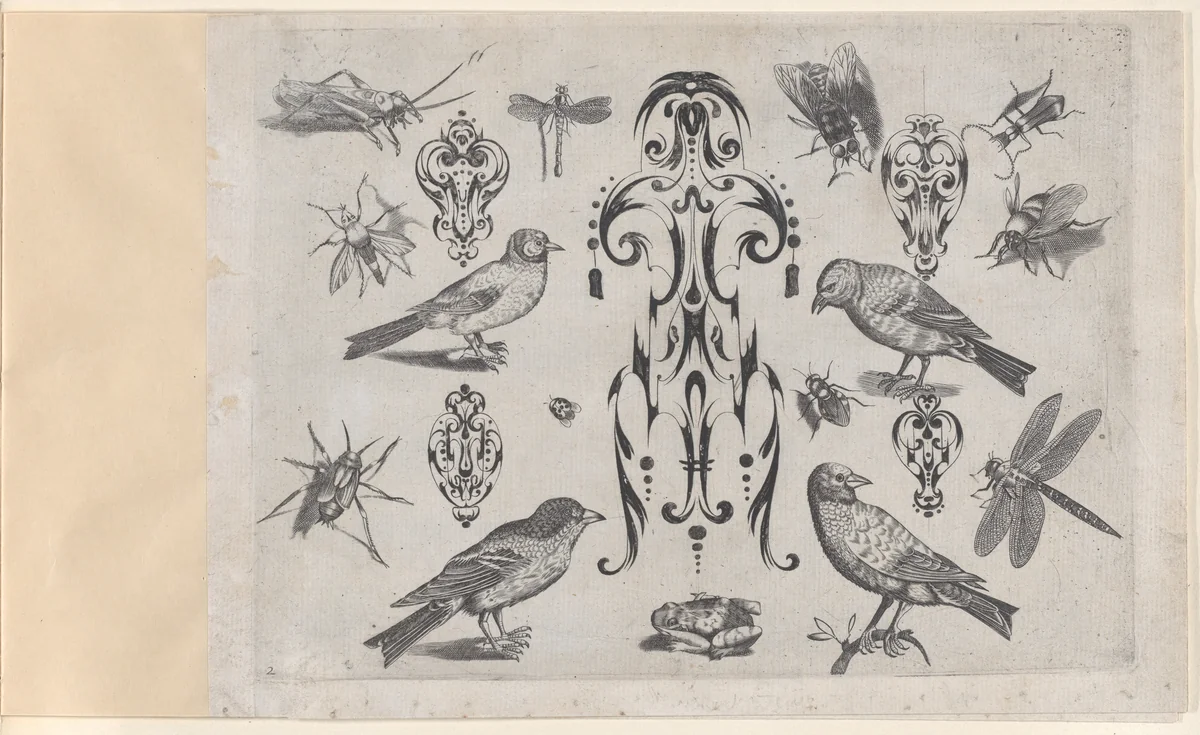 Blackwork Designs with Birds and Insects, Plate 2 from a Series of Blackwork Ornaments combined with figures, birds, animals and flowers by Meinert Gelijs, book, 1622
