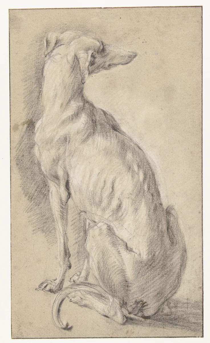 Een zittende hond, van achteren gezien by Frans Snijders, drawing, 1589-1657