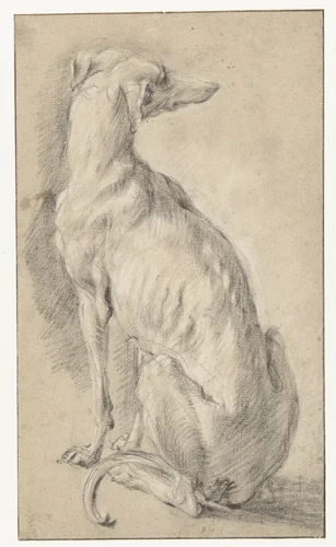Een zittende hond, van achteren gezien by Frans Snijders, drawing, 1589-1657