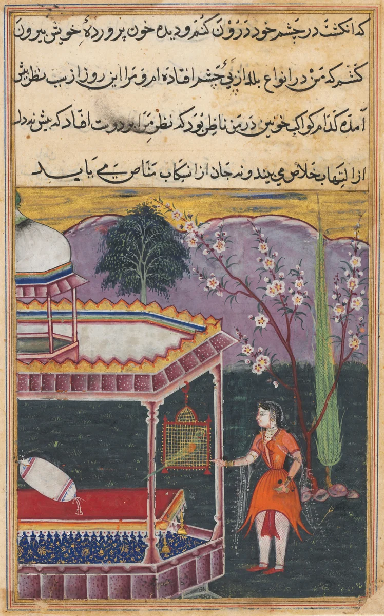 The Parrot Addresses Khujasta at the Beginning of the Eighth Night, from a Tuti-nama (Tales of a Parrot) by Unknown, painting, 1555-1565