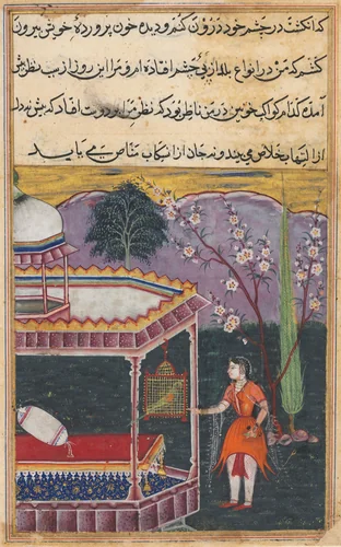 The Parrot Addresses Khujasta at the Beginning of the Eighth Night, from a Tuti-nama (Tales of a Parrot) by Unknown, painting, 1555-1565