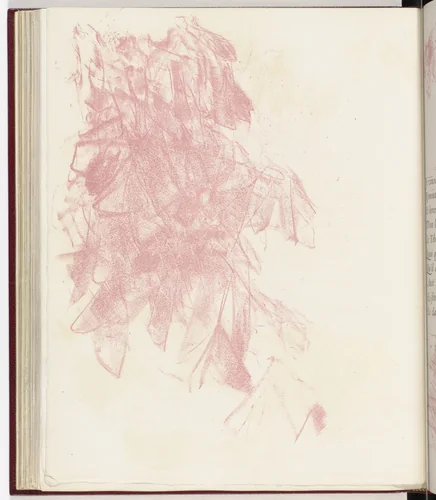 Plate (page 66) from Parallèlement (In Parallel) by Pierre Bonnard, illustrated book, 1900