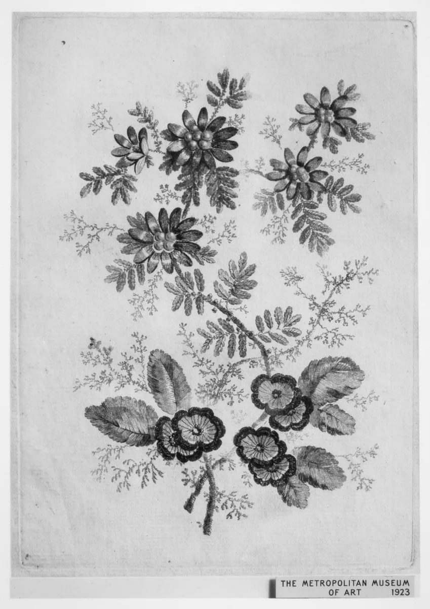 Flowers, from "Nouvelle Suite de Cahiers de Fleurs ideales a l'usage des dessinateurs et des peintres" by Jean Pillement, print, 1790-1799