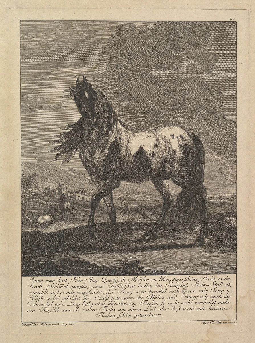 Horse by Johann Elias Ridinger, print, 1698-1767