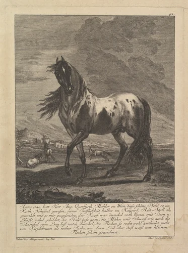 Horse by Johann Elias Ridinger, print, 1698-1767