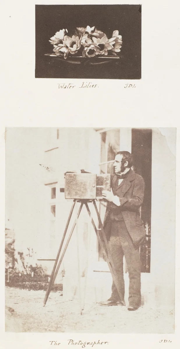 Water Lilies; The Photographer by John Dillwyn Llewelyn, photograph, 1853-1856