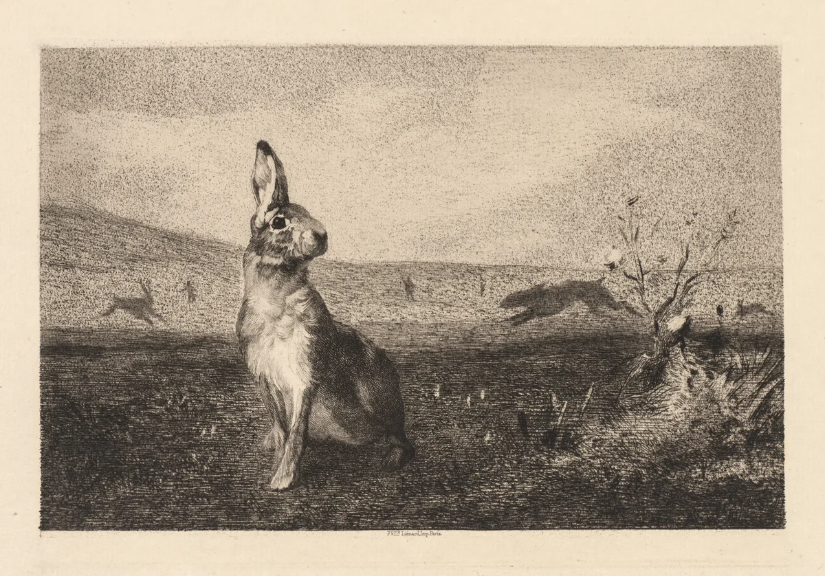 The Hare (Le Lièvre) by Félix Bracquemond, print, 1865