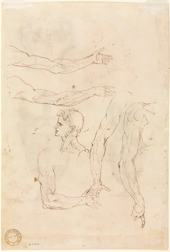 Sketches of Five Arms and a Head (verso) by Luzio Romano, drawing, 1530-1570