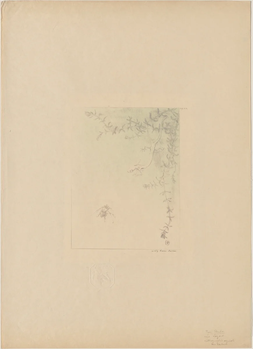 Salamander (La Salamandre) by Pierre Roche, print, 1895