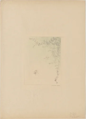 Salamander (La Salamandre) by Pierre Roche, print, 1895