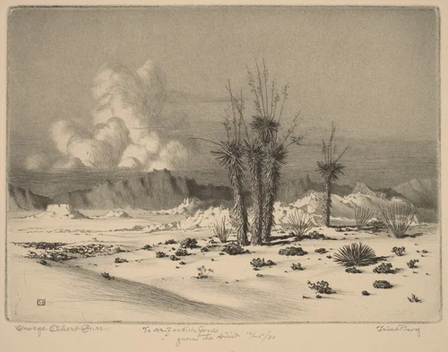 Evening, Arizona by George Elbert Burr, print, 1930