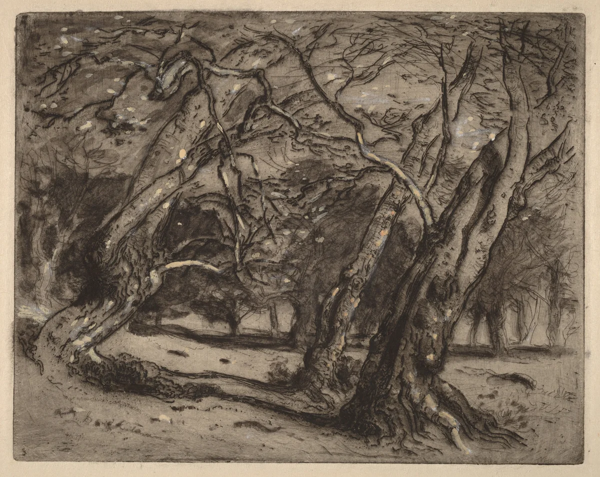 Untitled (Wooded Landscape) by Samuel Colman, print, 1880