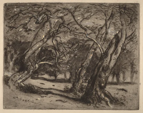 Untitled (Wooded Landscape) by Samuel Colman, print, 1880