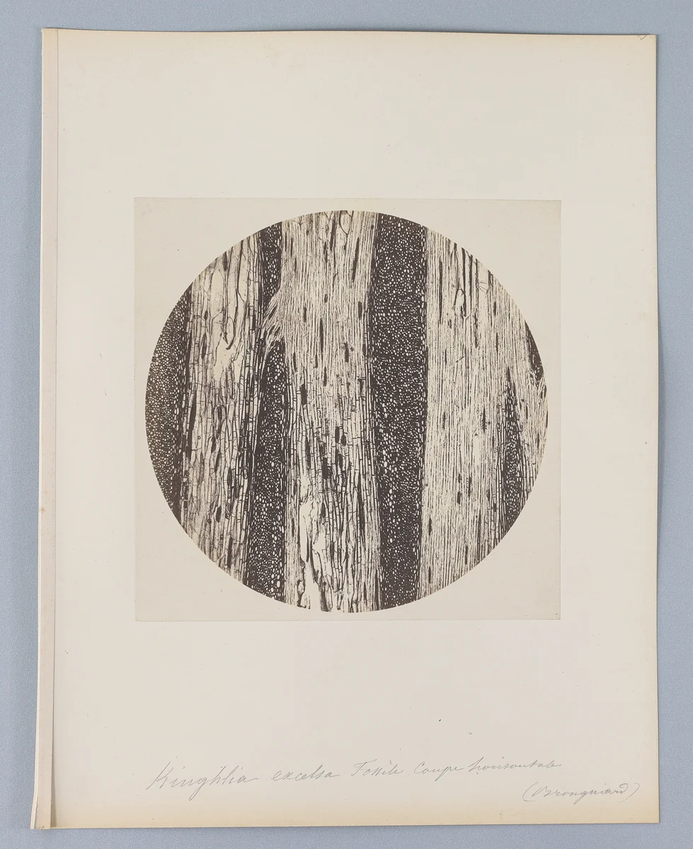 [Untitled] by Auguste-Adolphe Bertsch, photograph, 1853-1857